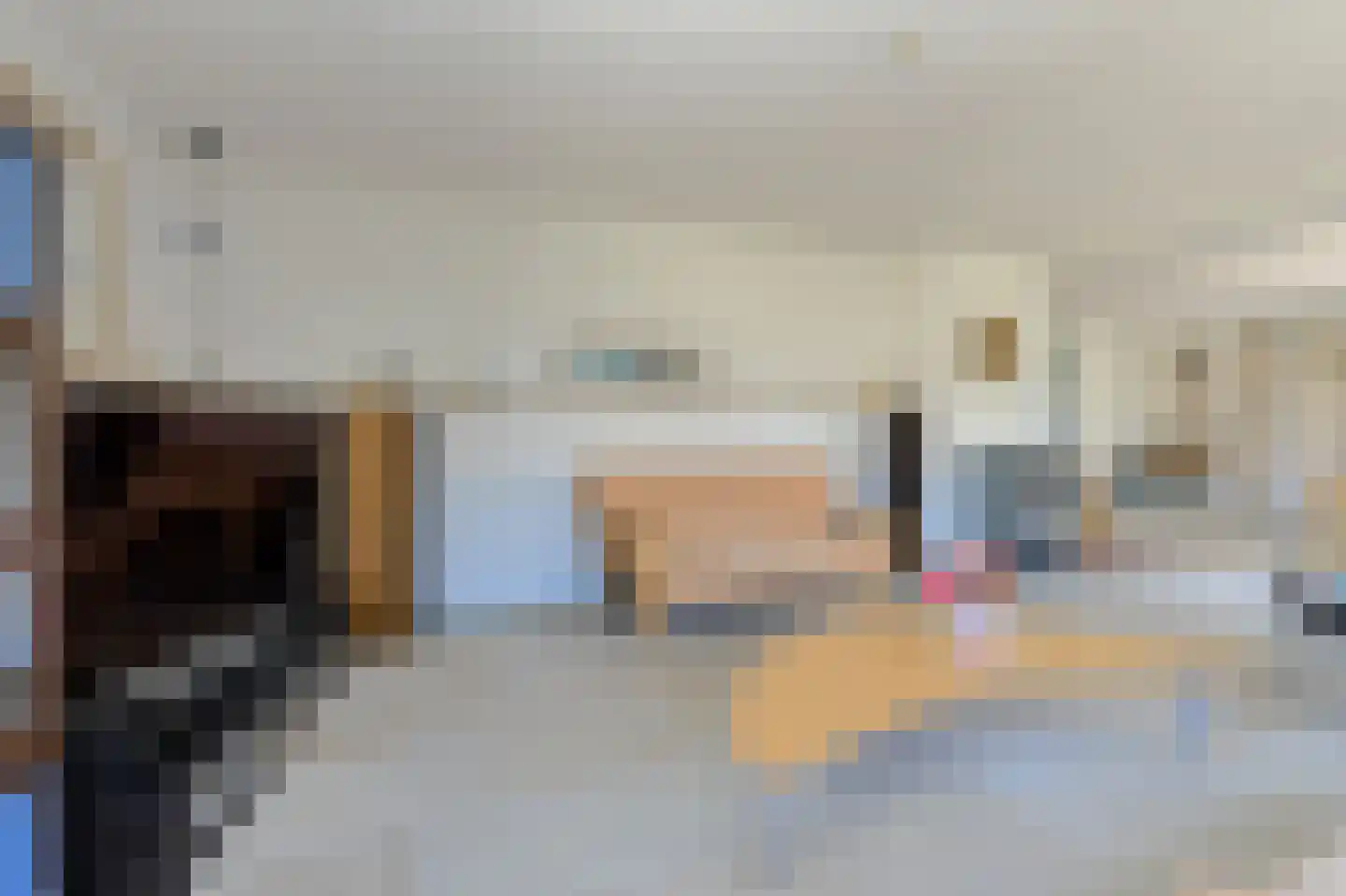 Schijfkamille 19 Breda thumbnail 11