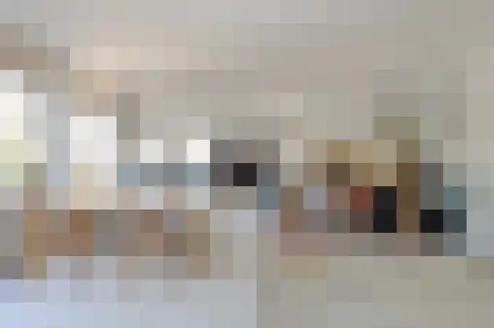 Schijfkamille 19 Breda thumbnail 11