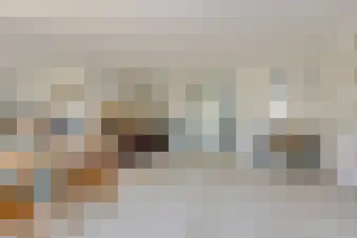 Schijfkamille 19 Breda thumbnail 12