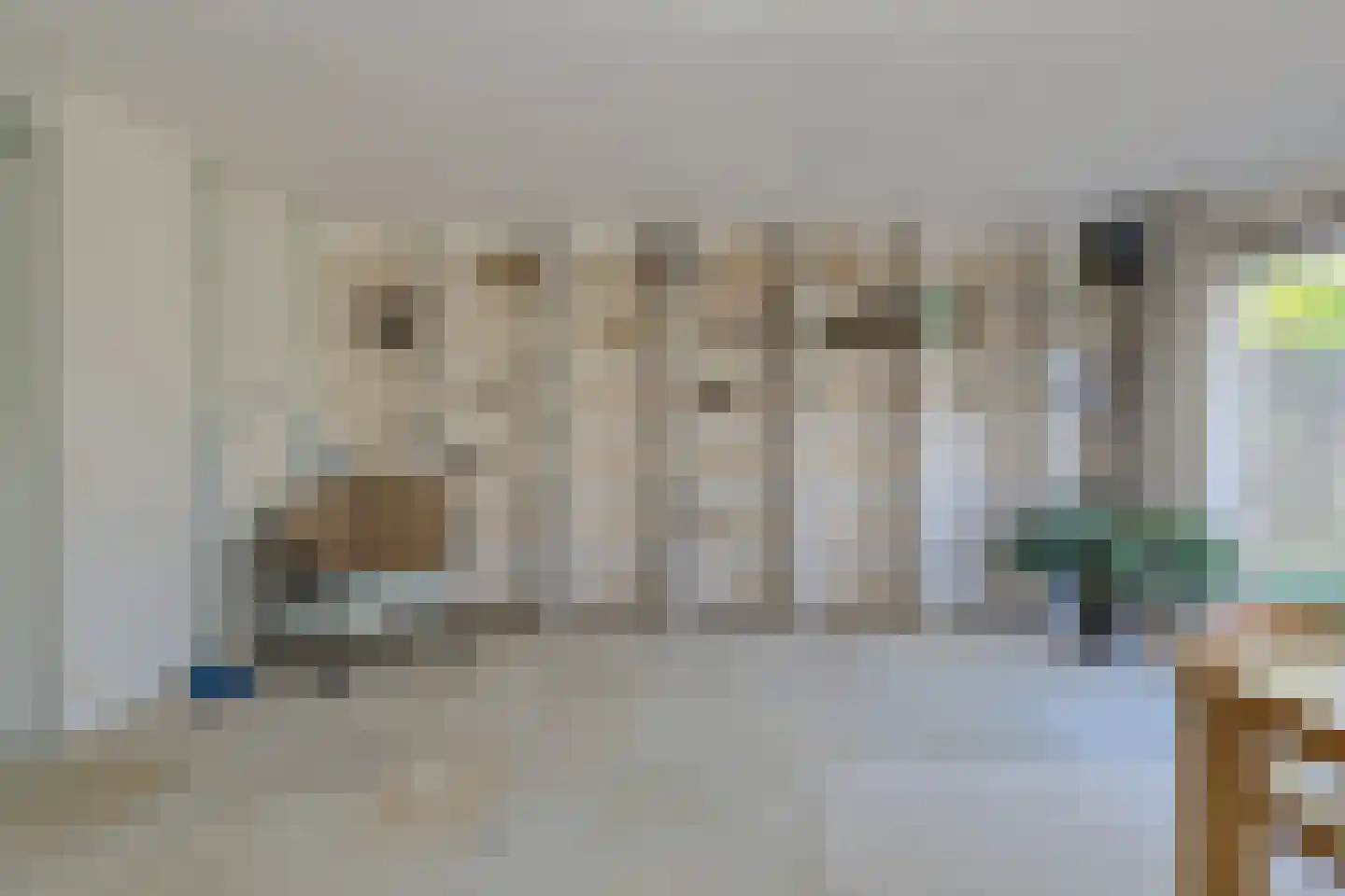 Schijfkamille 19 Breda thumbnail 13