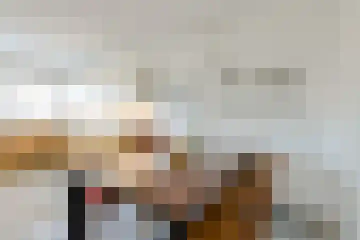 Schijfkamille 19 Breda thumbnail 13