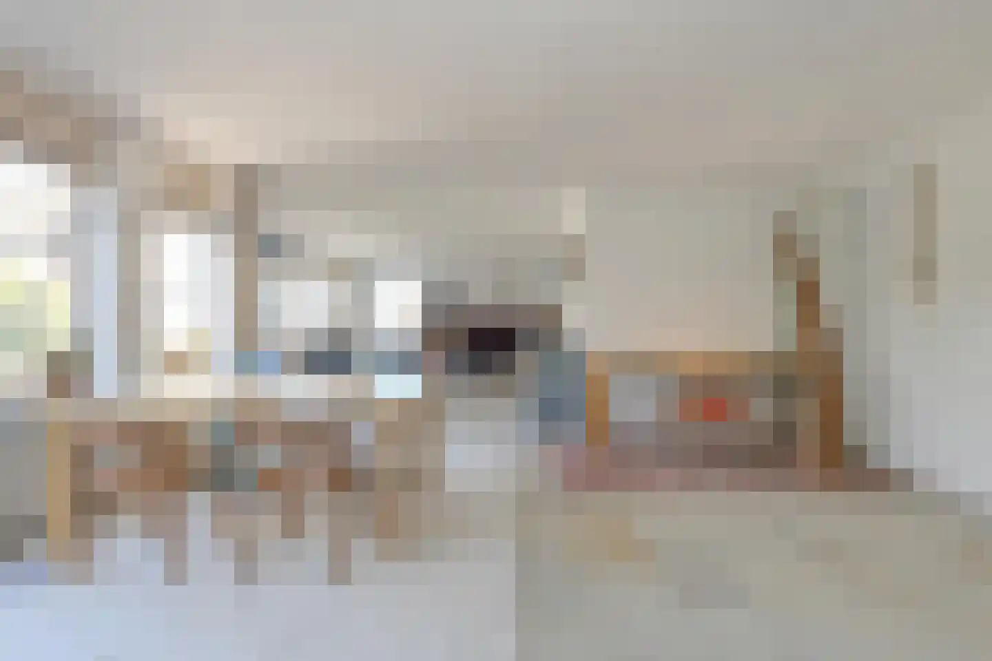 Schijfkamille 19 Breda thumbnail 15