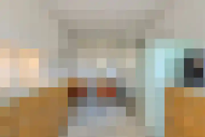 Schijfkamille 19 Breda thumbnail 16