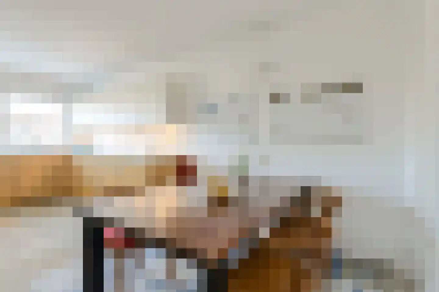 Schijfkamille 19 Breda thumbnail 17