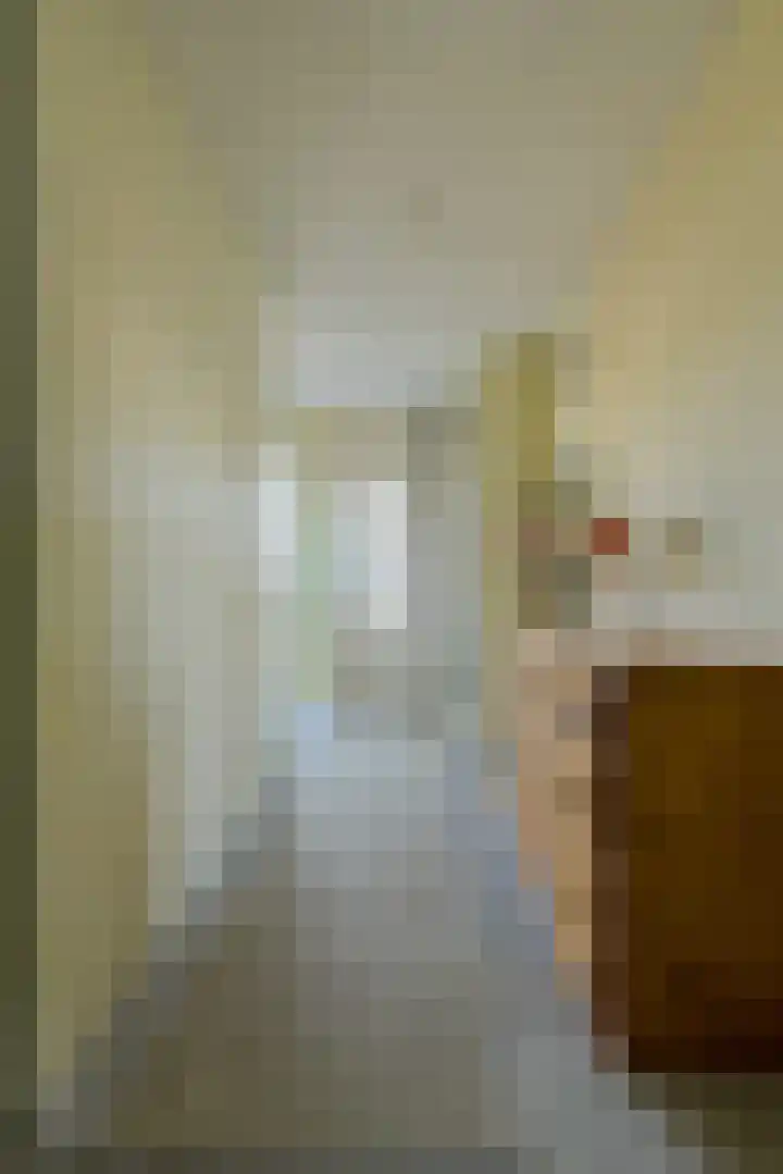 Schijfkamille 19 Breda thumbnail 18