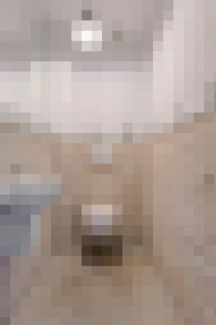 Schijfkamille 19 Breda thumbnail 20