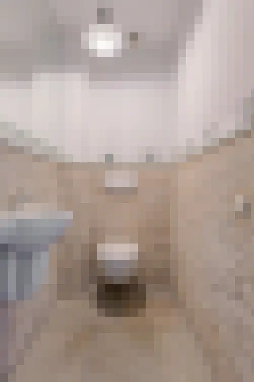 Schijfkamille 19 Breda thumbnail 23