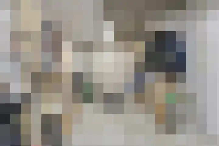 Schijfkamille 19 Breda thumbnail 23