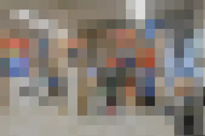 Schijfkamille 19 Breda thumbnail 24