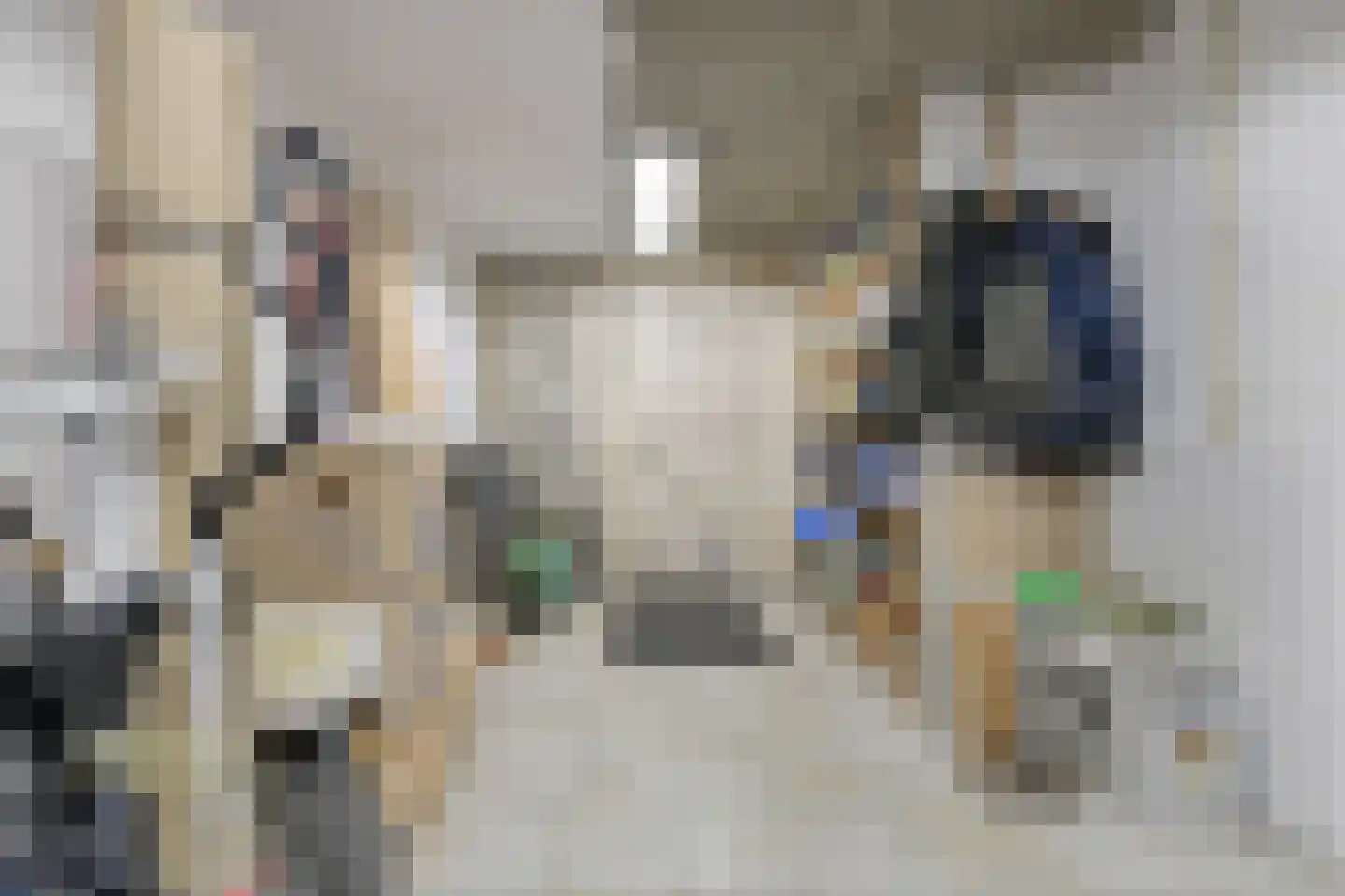 Schijfkamille 19 Breda thumbnail 25