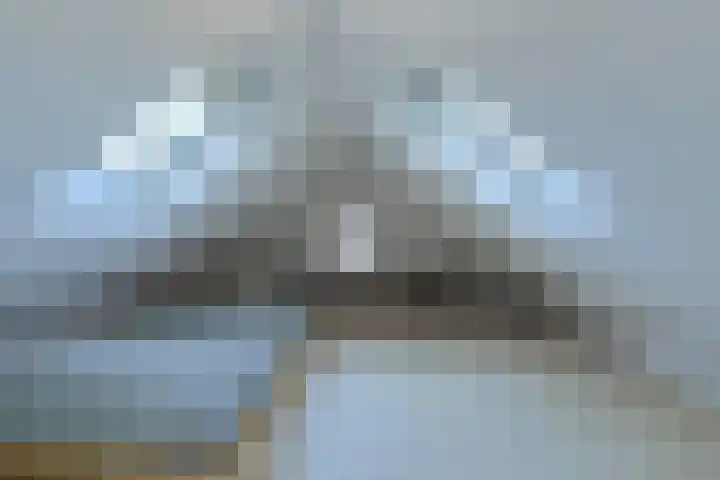 Schijfkamille 19 Breda thumbnail 25