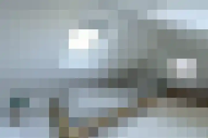 Schijfkamille 19 Breda thumbnail 26