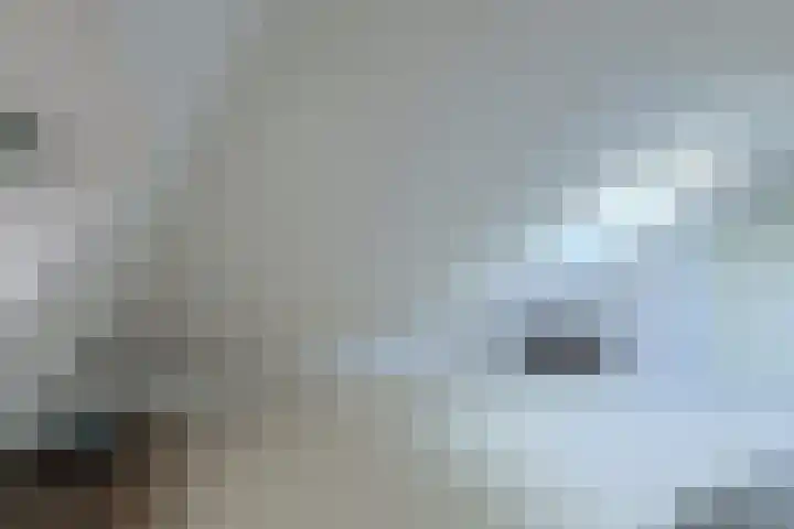Schijfkamille 19 Breda thumbnail 27