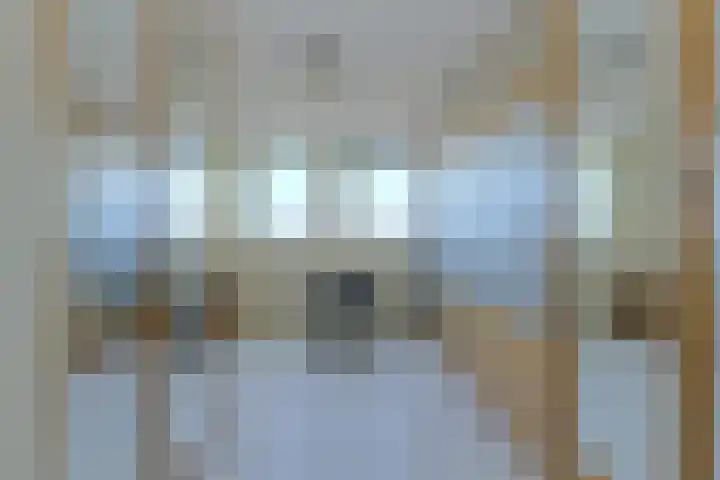 Schijfkamille 19 Breda thumbnail 29