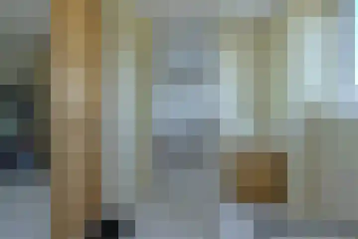 Schijfkamille 19 Breda thumbnail 30