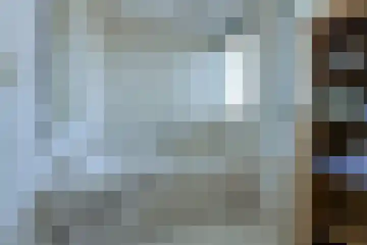 Schijfkamille 19 Breda thumbnail 31