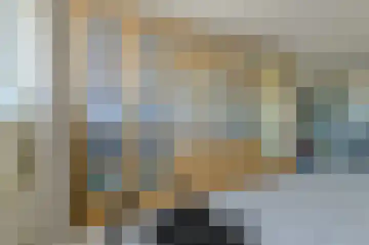 Schijfkamille 19 Breda thumbnail 32