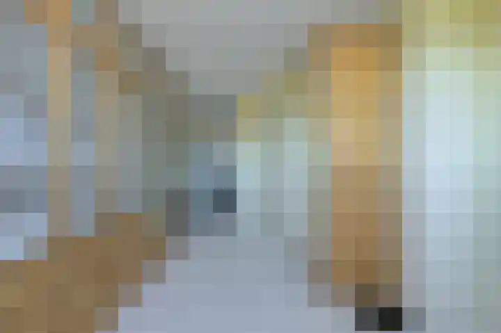 Schijfkamille 19 Breda thumbnail 33