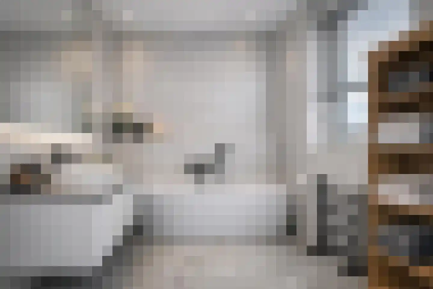 Schijfkamille 19 Breda thumbnail 34