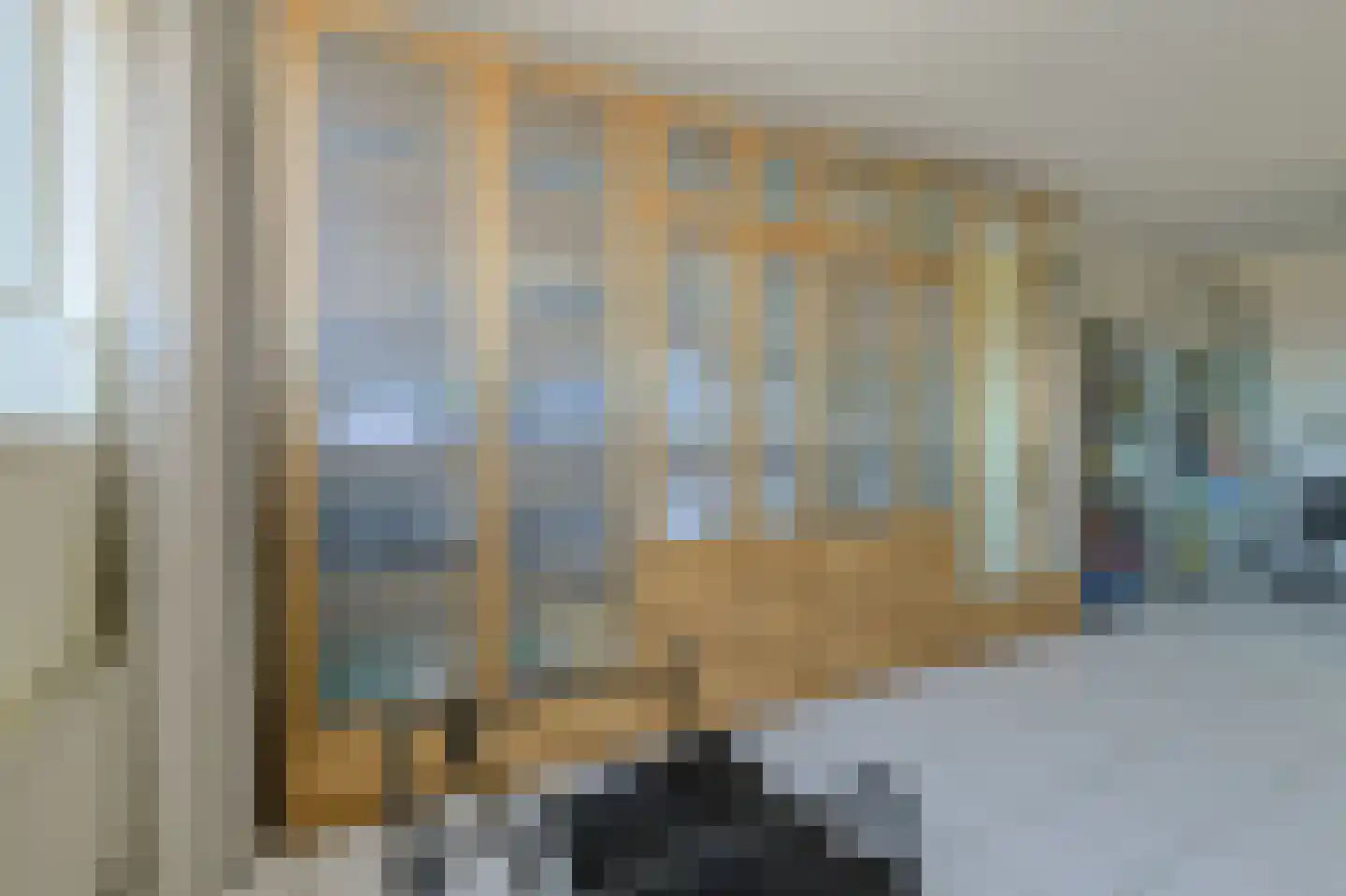Schijfkamille 19 Breda thumbnail 35