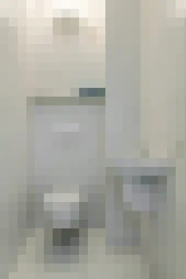 Schijfkamille 19 Breda thumbnail 36