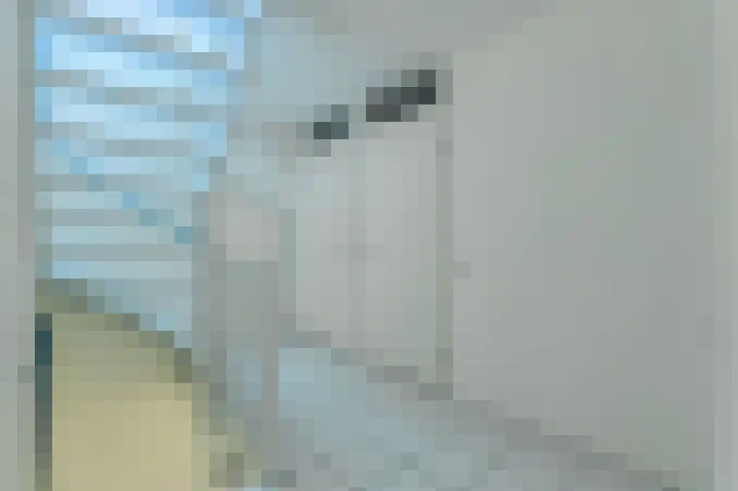 Schijfkamille 19 Breda thumbnail 36