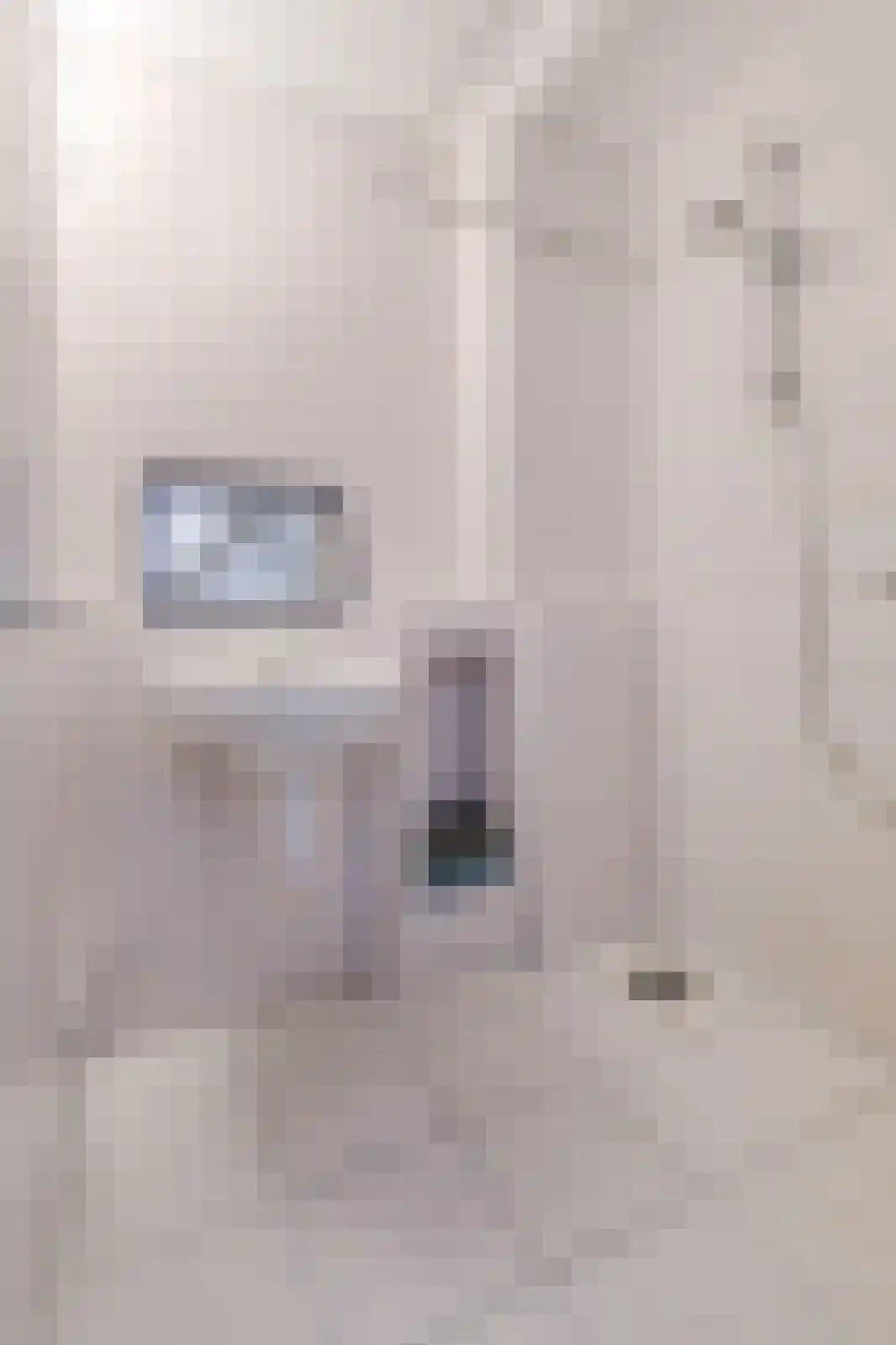 Schijfkamille 19 Breda thumbnail 37