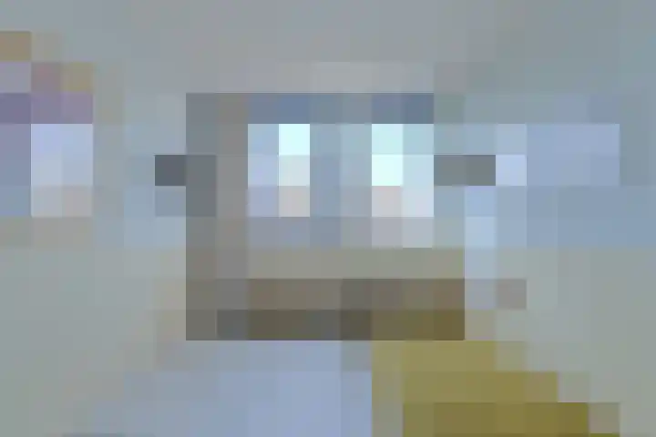 Schijfkamille 19 Breda thumbnail 37