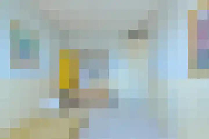 Schijfkamille 19 Breda thumbnail 38