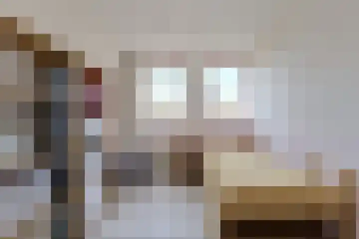 Schijfkamille 19 Breda thumbnail 39