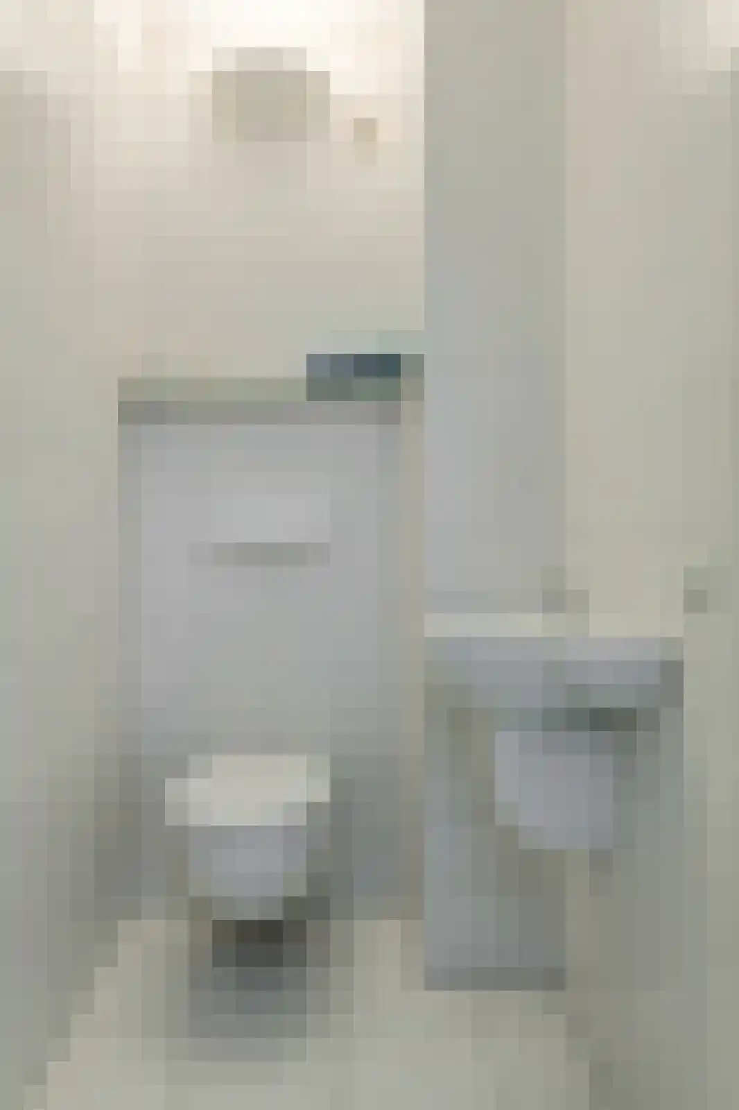Schijfkamille 19 Breda thumbnail 39