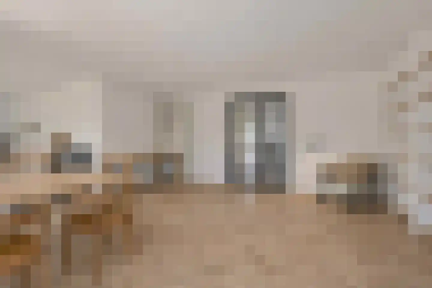 Schijfkamille 19 Breda thumbnail 4