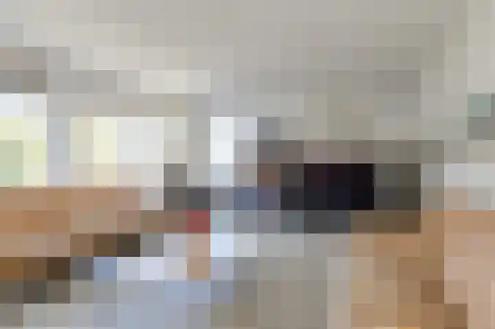 Schijfkamille 19 Breda thumbnail 4