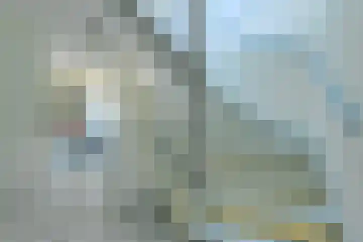 Schijfkamille 19 Breda thumbnail 41