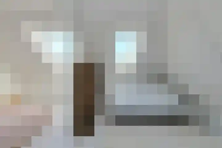 Schijfkamille 19 Breda thumbnail 43