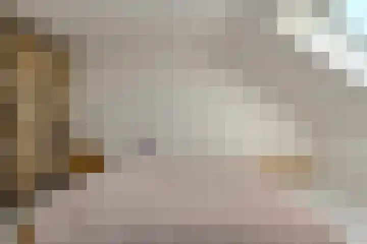 Schijfkamille 19 Breda thumbnail 44
