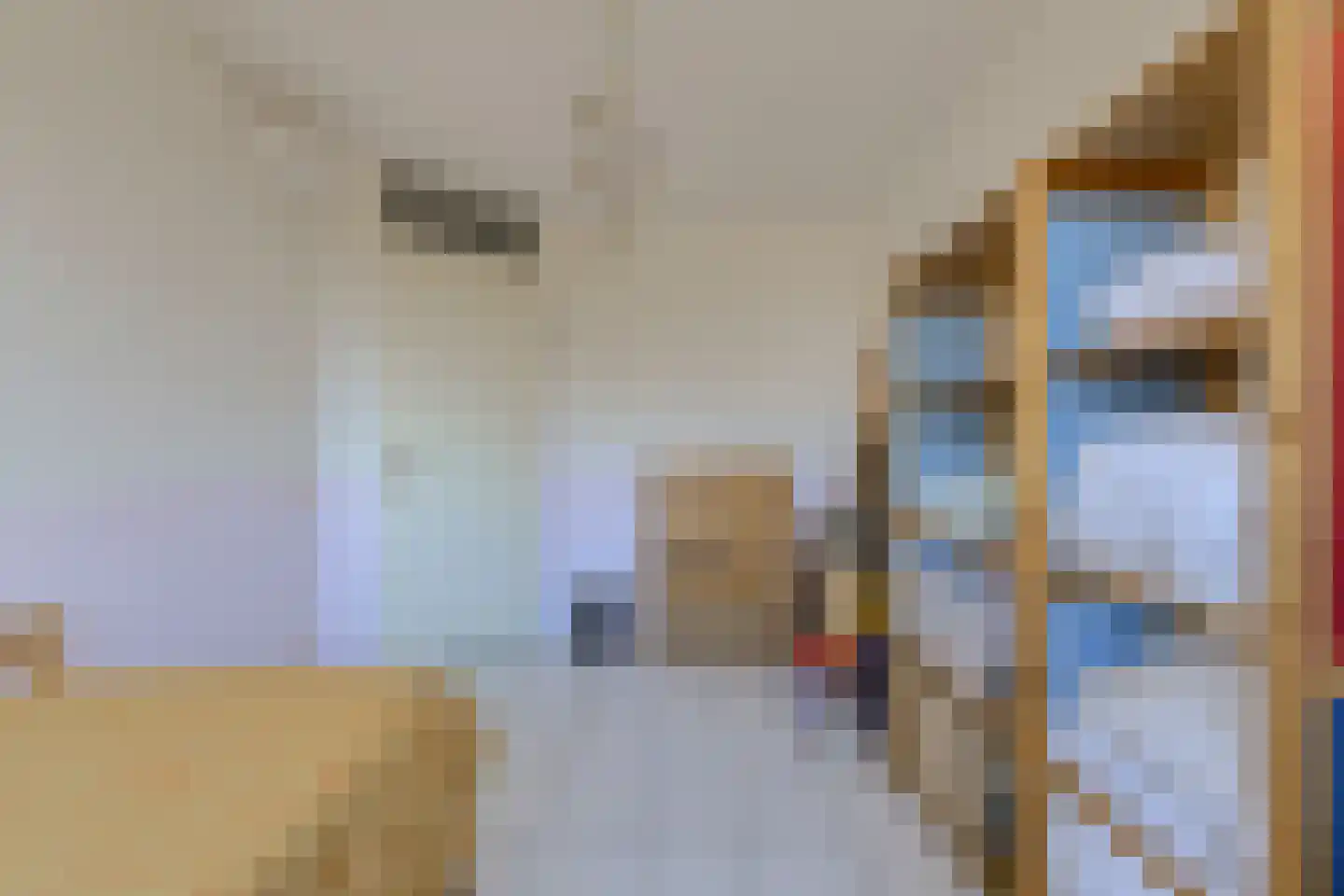 Schijfkamille 19 Breda thumbnail 46