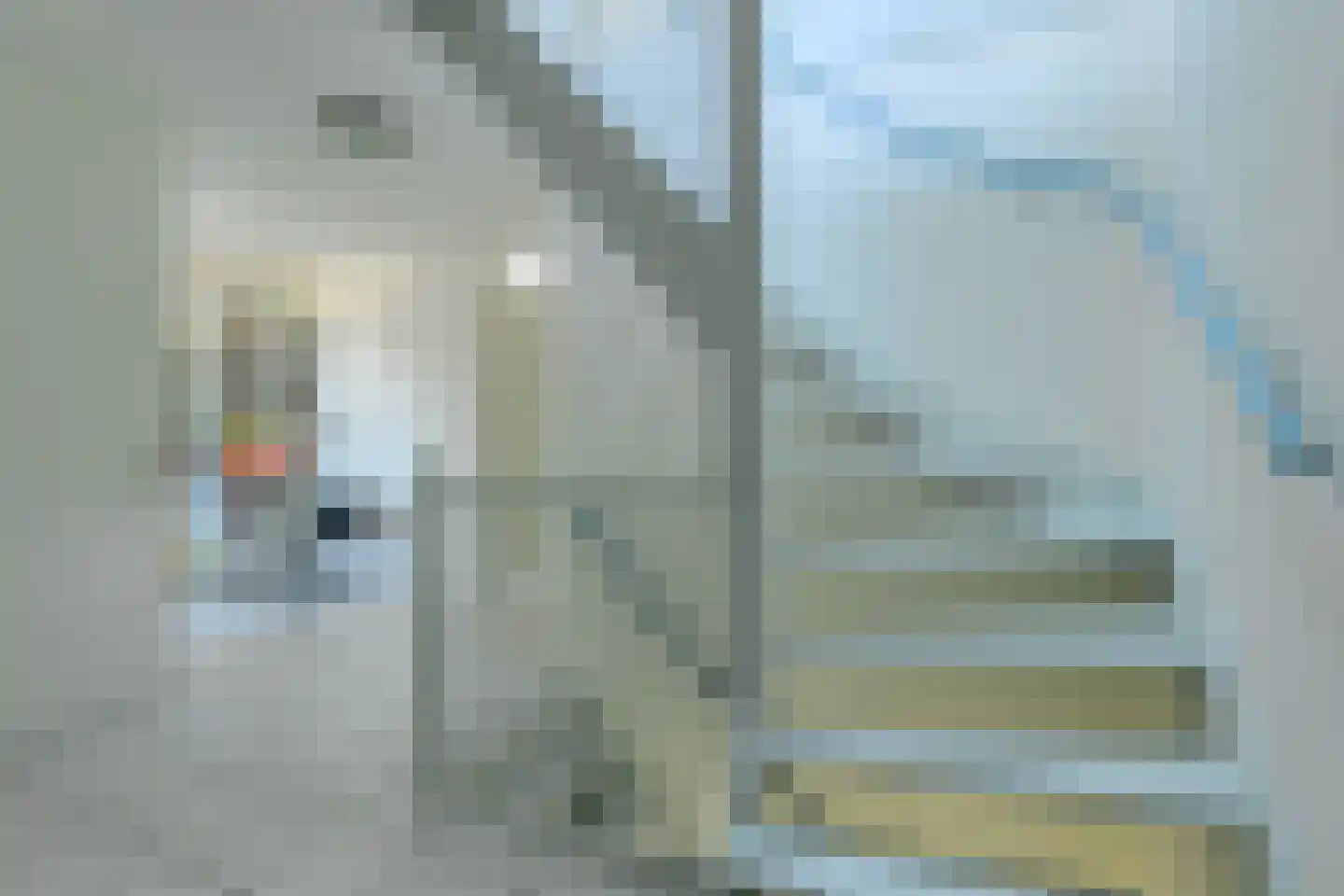 Schijfkamille 19 Breda thumbnail 47