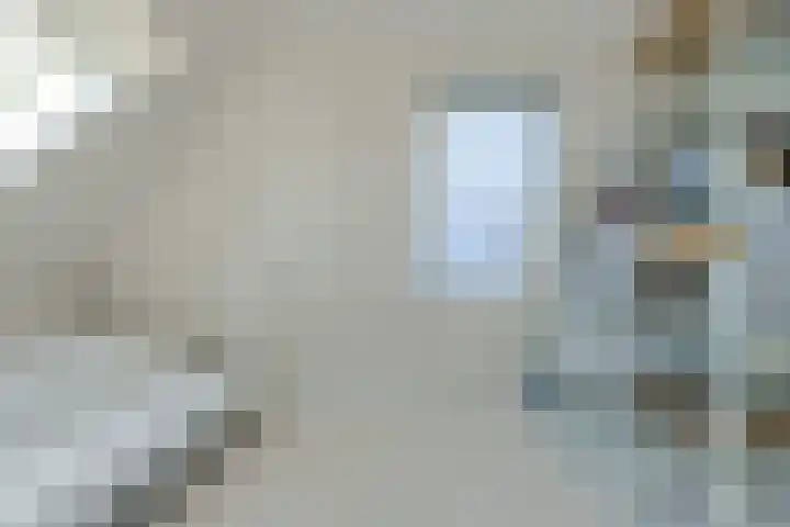 Schijfkamille 19 Breda thumbnail 47