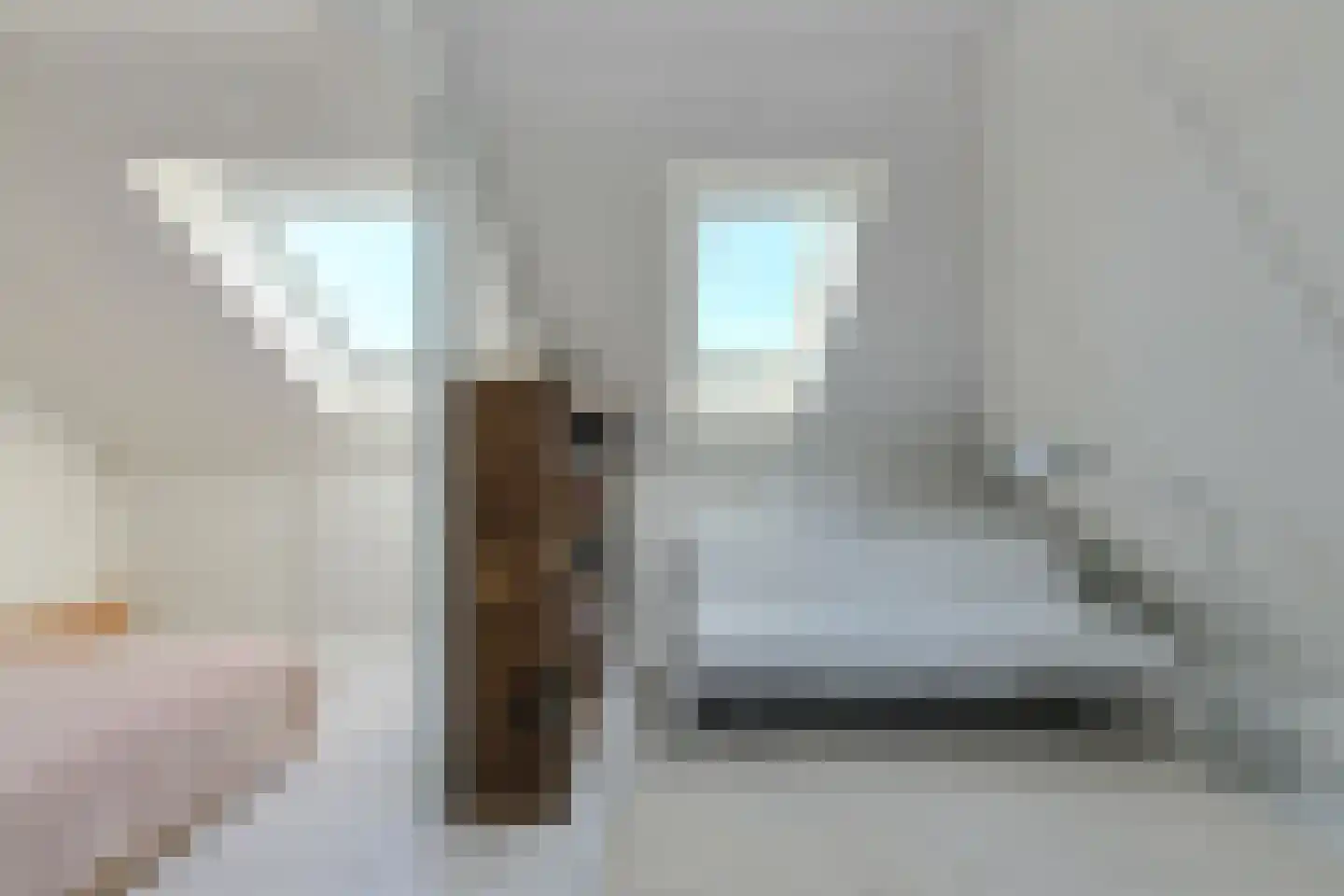 Schijfkamille 19 Breda thumbnail 49