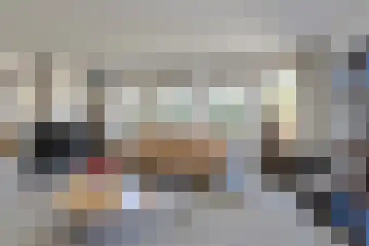Schijfkamille 19 Breda thumbnail 5