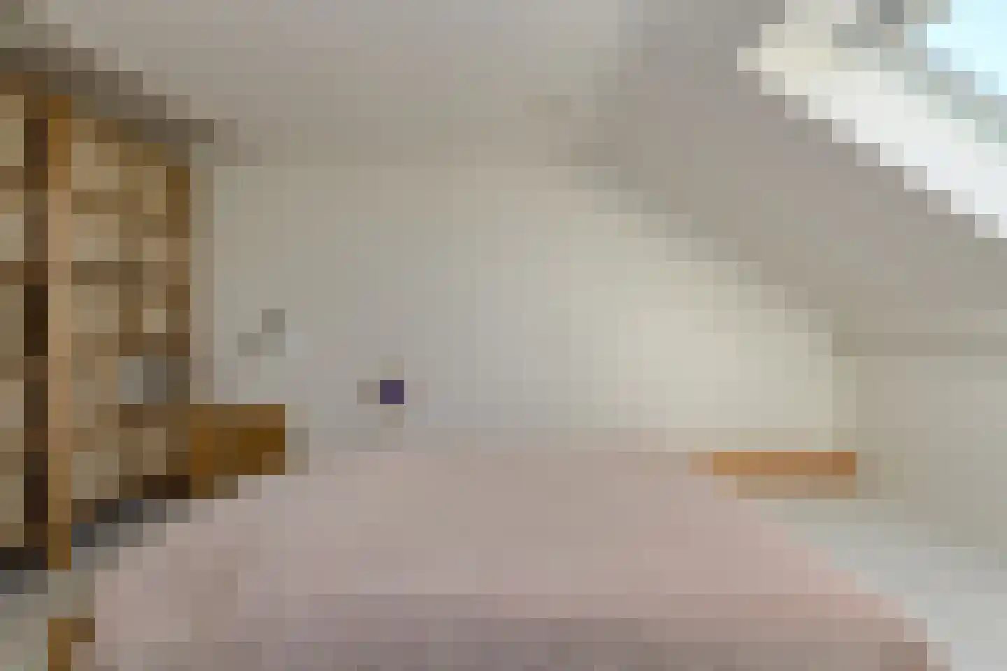 Schijfkamille 19 Breda thumbnail 50