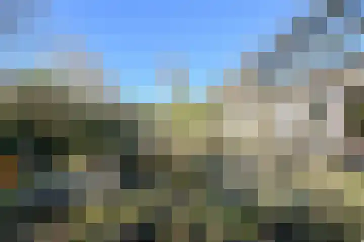 Schijfkamille 19 Breda thumbnail 51