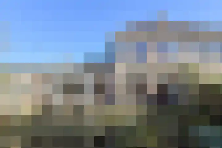 Schijfkamille 19 Breda thumbnail 53