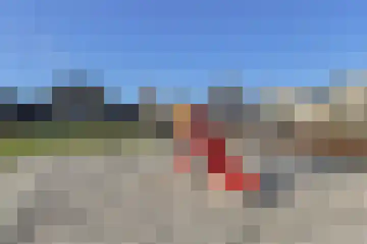 Schijfkamille 19 Breda thumbnail 54
