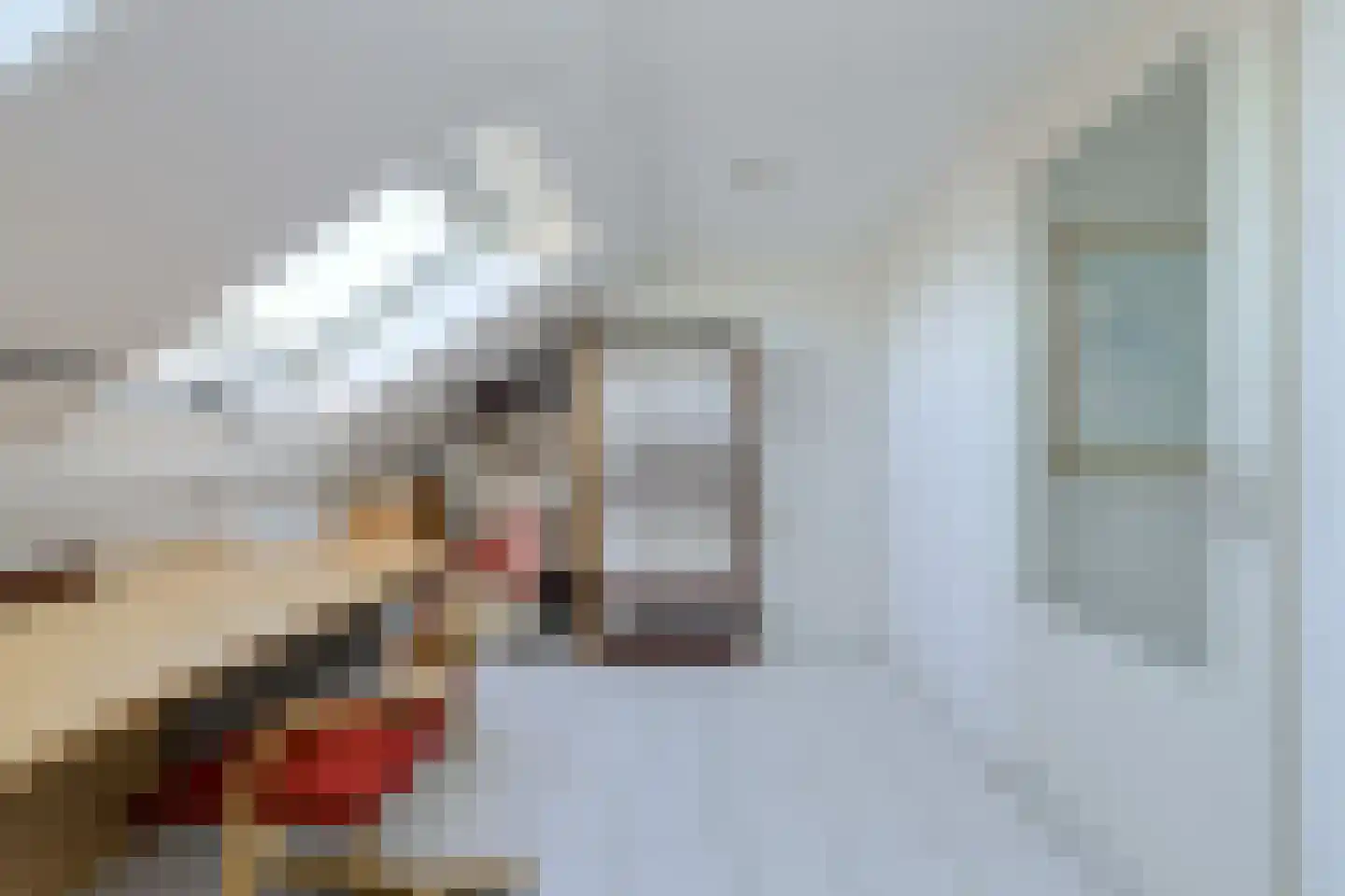 Schijfkamille 19 Breda thumbnail 55