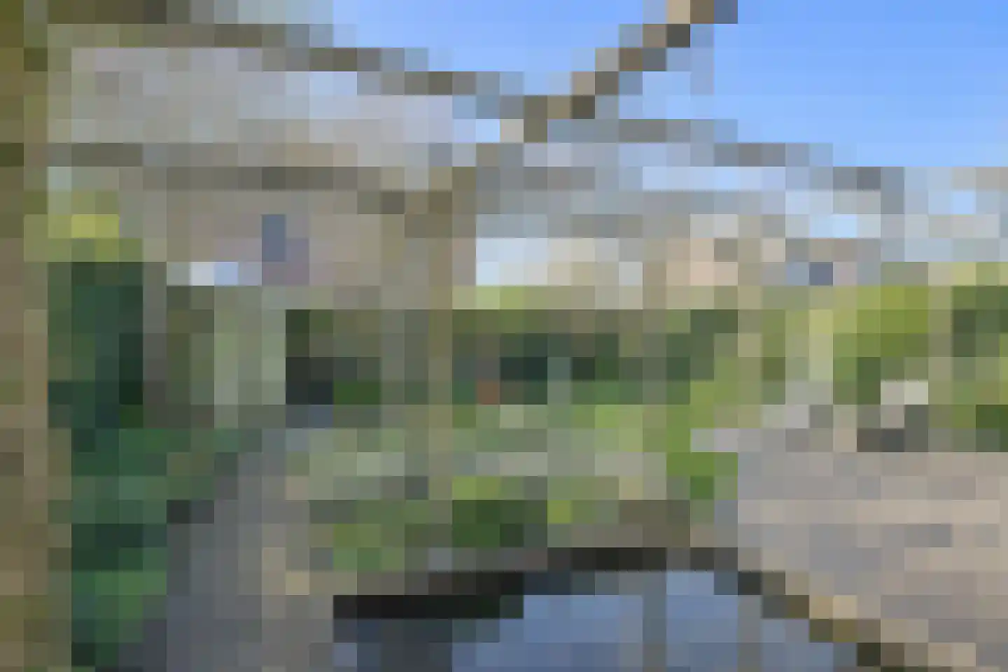 Schijfkamille 19 Breda thumbnail 57