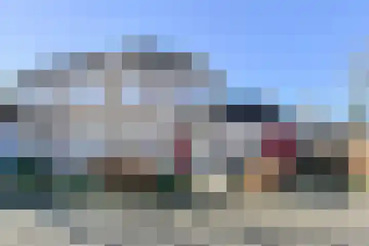 Schijfkamille 19 Breda thumbnail 57