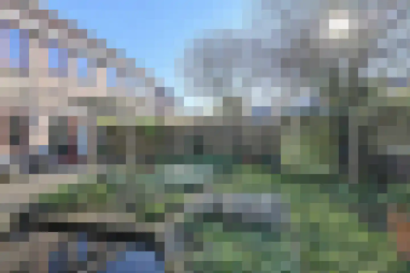 Schijfkamille 19 Breda thumbnail 58