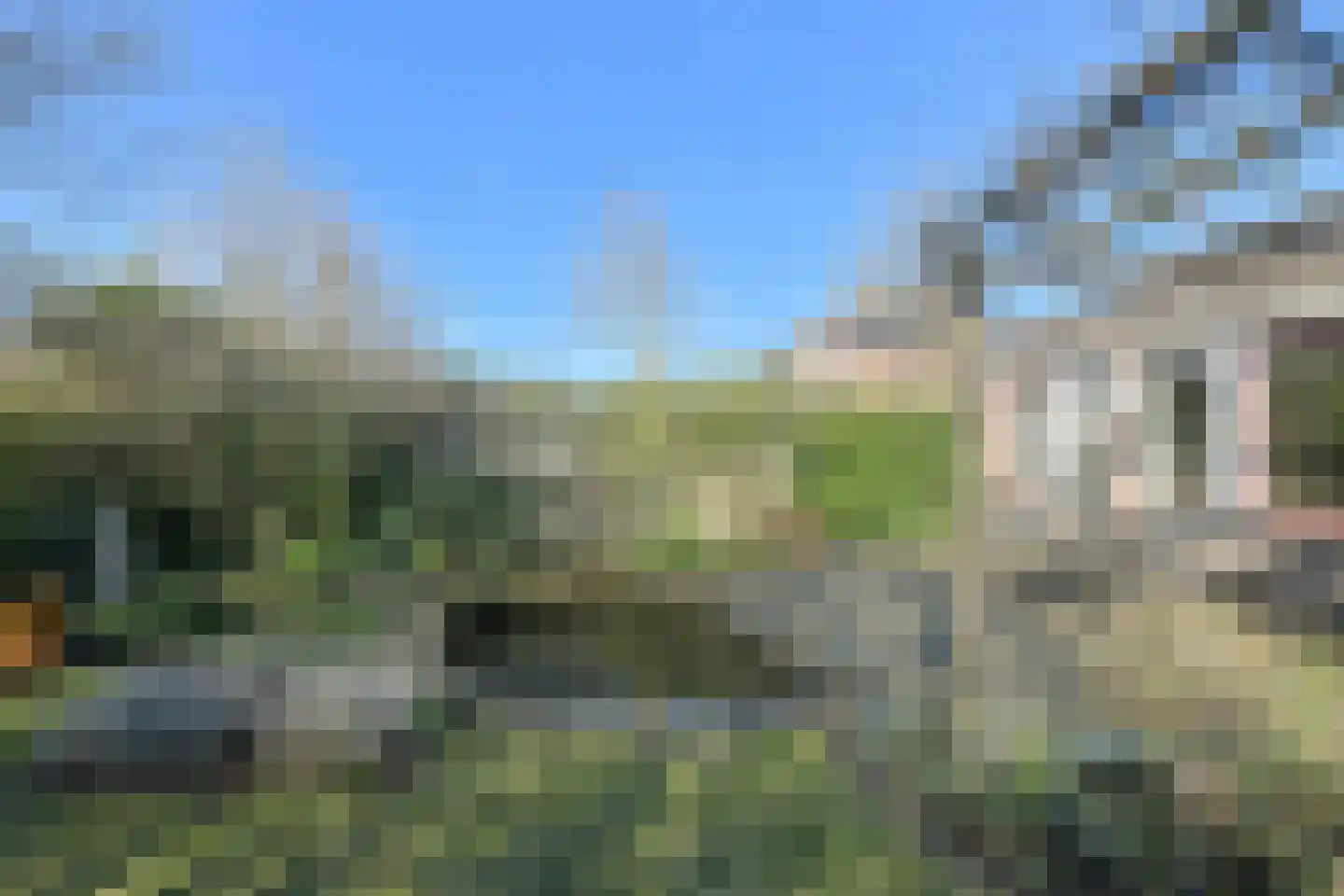 Schijfkamille 19 Breda thumbnail 59